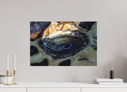 60 x 40 cm, Hahnemühle Photo Rag Ultra Smooth no frame Eye of the Reef
