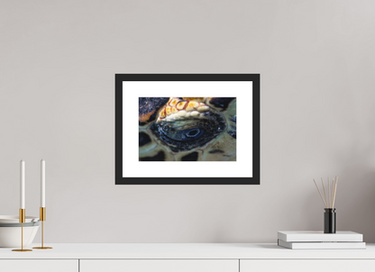 30 x 20 cm, Hahnemühle Photo Rag Ultra Smooth frame Eye of the Reef