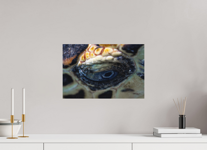 45 x 30 cm, Hahnemühle Photo Rag Ultra Smooth no frame Eye of the Reef