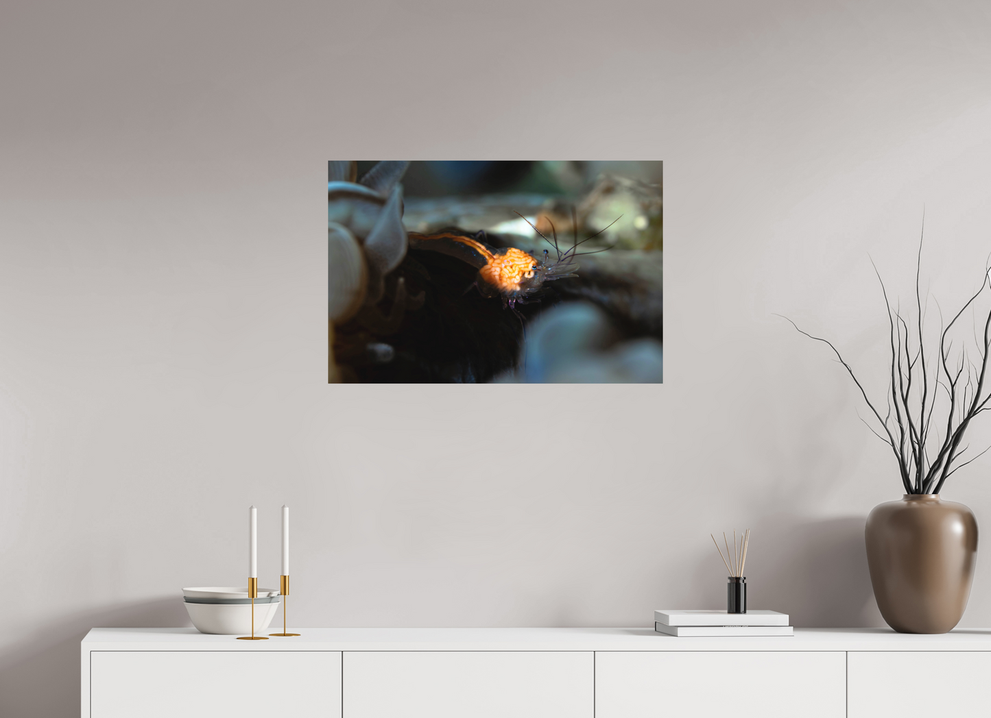75 x 50 cm, Frameless Anatomy of a Shrimp