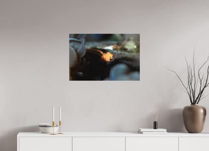 75 x 50 cm, Frameless Anatomy of a Shrimp