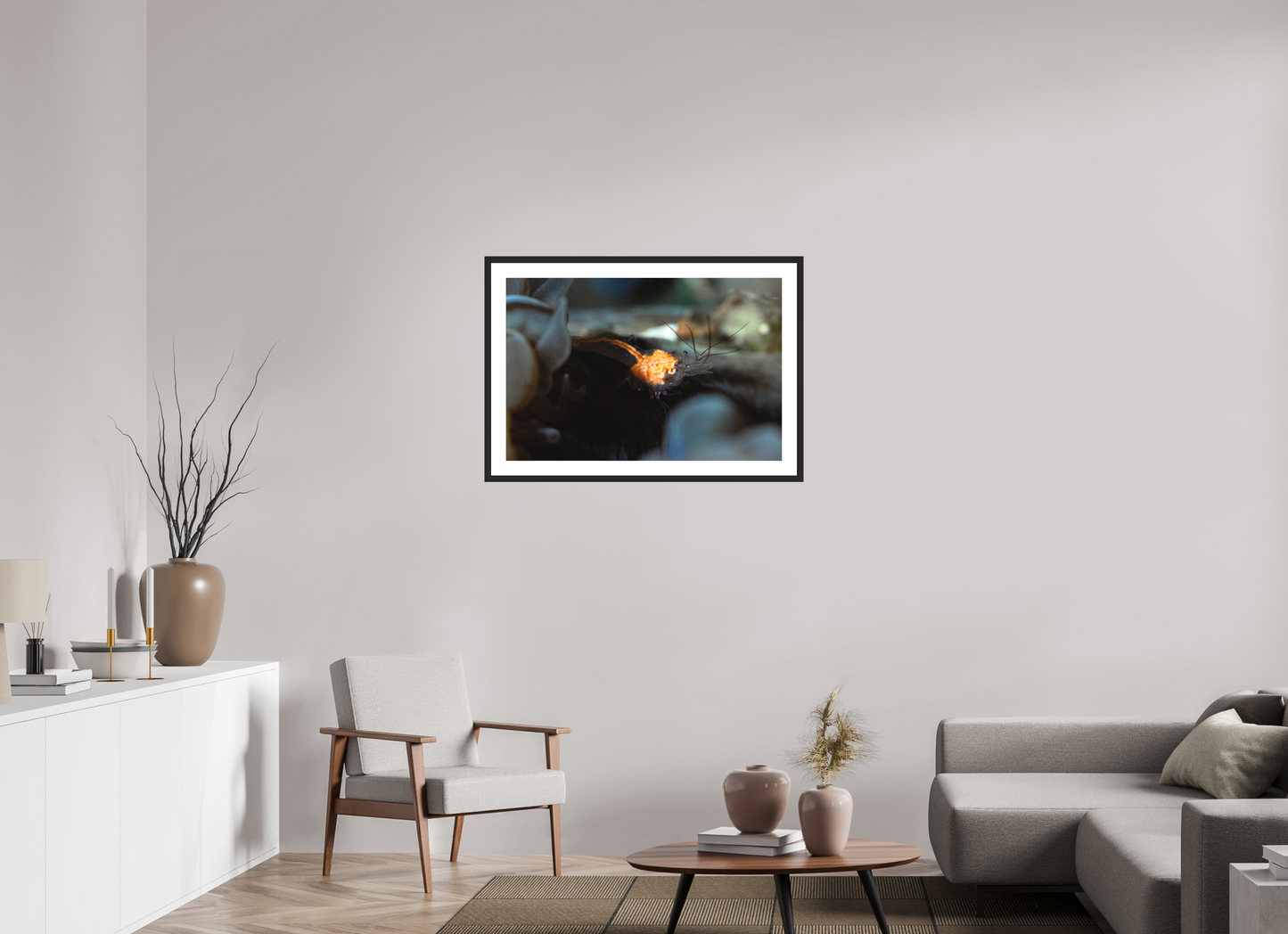 90 x 60 cm, Framed Anatomy of a Shrimp