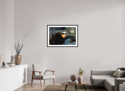 90 x 60 cm, Framed Anatomy of a Shrimp