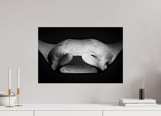 60 x 40 cm, Frameless Belly of the Ocean