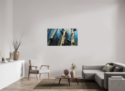 128 x 72 cm, Hahnemühle Photo Rag Ultra Smooth Frameless Through the Pillars