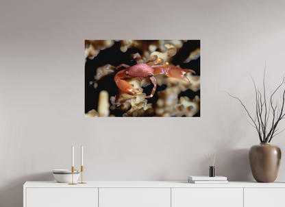 90 x 60 cm, Frameless Between Polyps