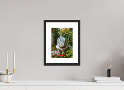 20 x 28 cm, Framed The Friendly Local