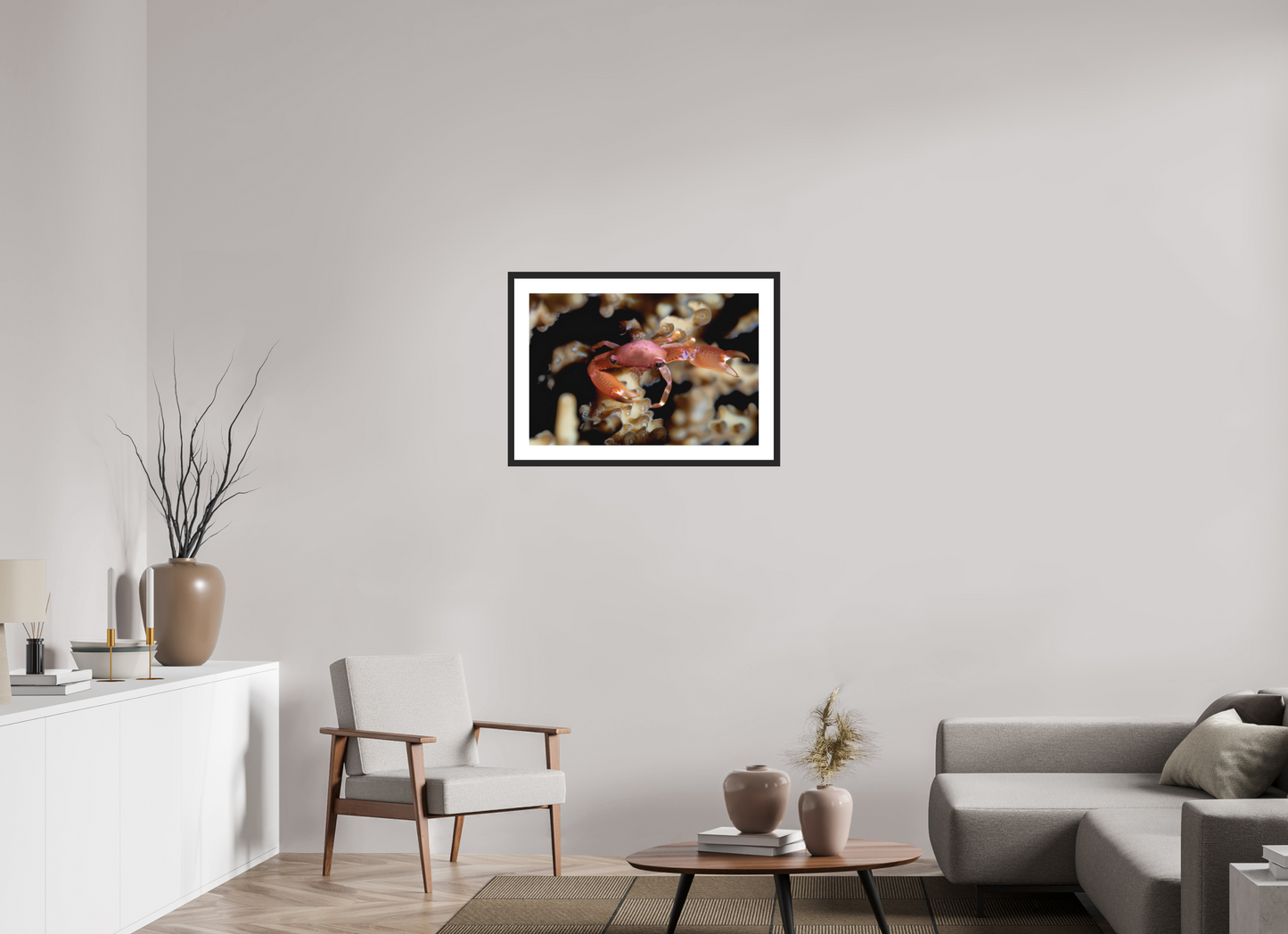 75 x 50 cm, Framed Between Polyps