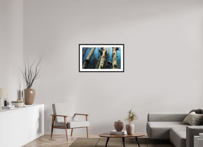 80 x 45 cm, Hahnemühle Photo Rag Ultra Smooth Framed Black Through the Pillars