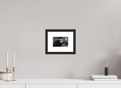 15 x 10 cm, Framed Anatomy of a Shrimp