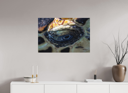 90 x 60 cm, Hahnemühle Photo Rag Ultra Smooth no frame Eye of the Reef