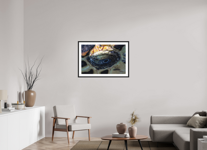 90 x 60 cm, Hahnemühle Photo Rag Ultra Smooth frame Eye of the Reef