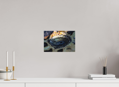 30 x 20 cm, Hahnemühle Photo Rag Ultra Smooth no frame Eye of the Reef