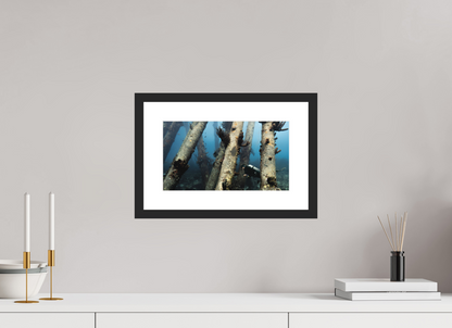 32 x 18 cm, Hahnemühle Photo Rag Ultra Smooth Framed Black Through the Pillars