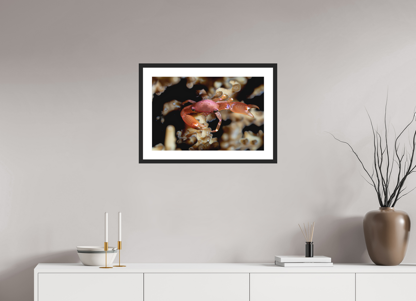 60 x 40 cm, Framed Between Polyps