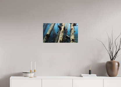 64 x 36 cm, Hahnemühle Photo Rag Ultra Smooth Frameless Through the Pillars