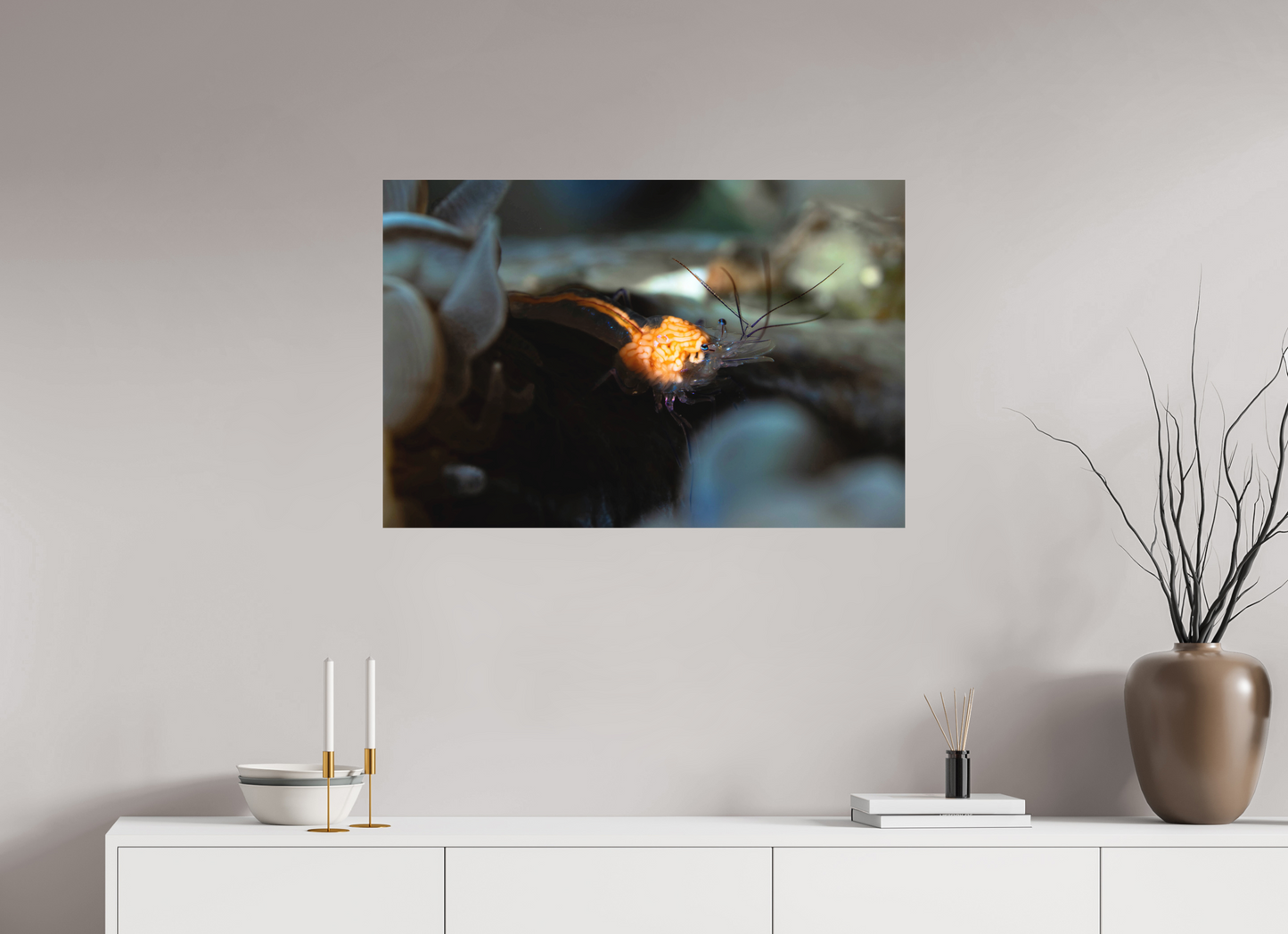 90 x 60 cm, Frameless Anatomy of a Shrimp