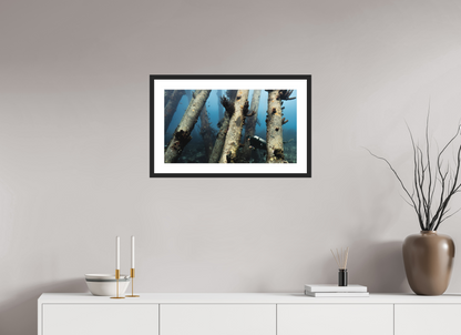64 x 36 cm, Hahnemühle Photo Rag Ultra Smooth Framed Black Through the Pillars