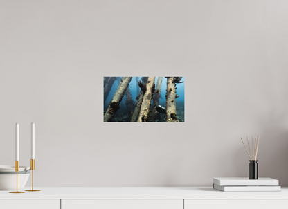 32 x 18 cm, Hahnemühle Photo Rag Ultra Smooth Frameless Through the Pillars
